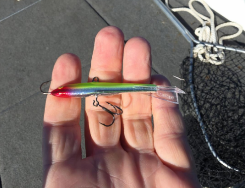 Fishing Lure in hand
